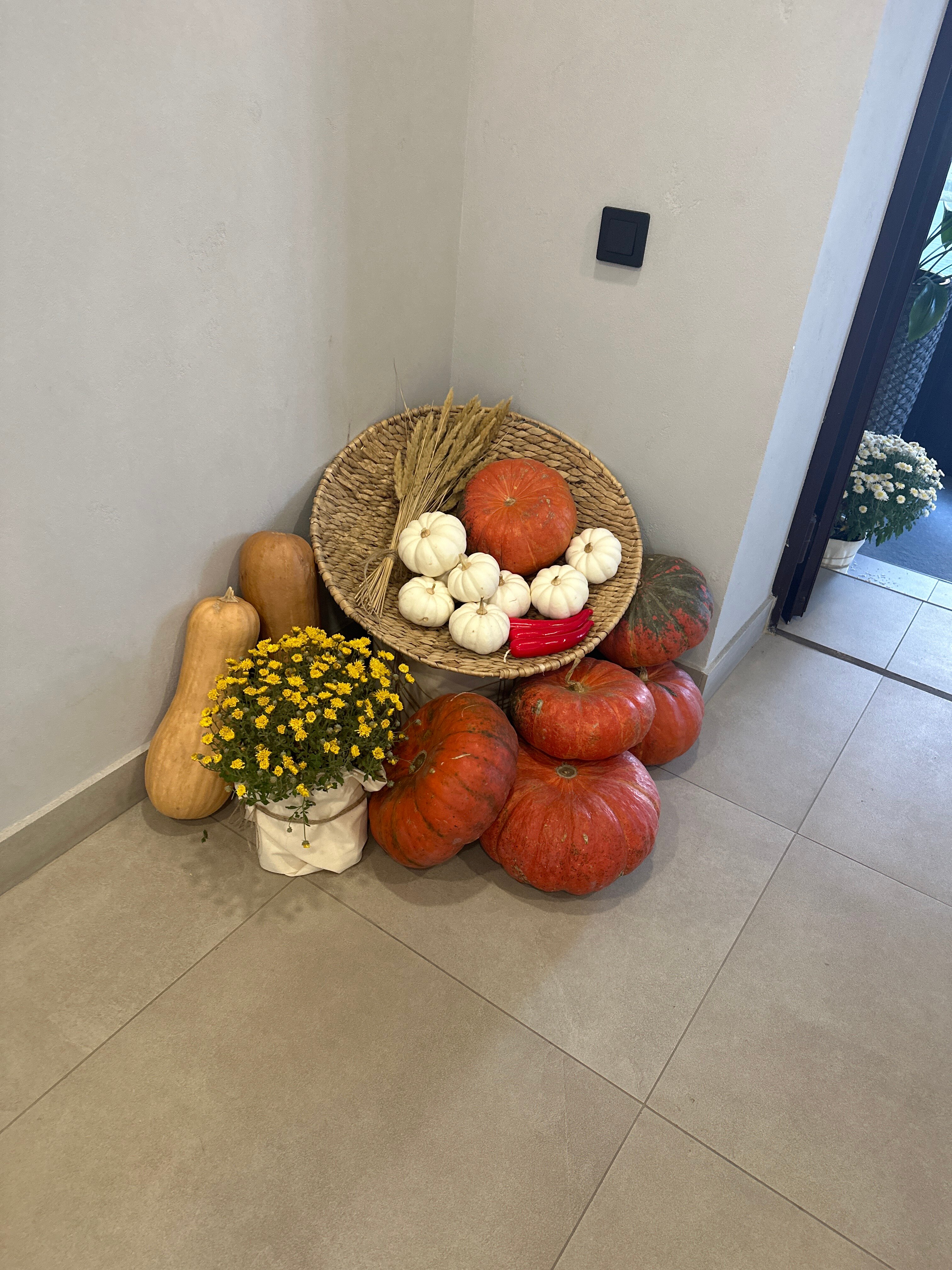 Фото Глобус