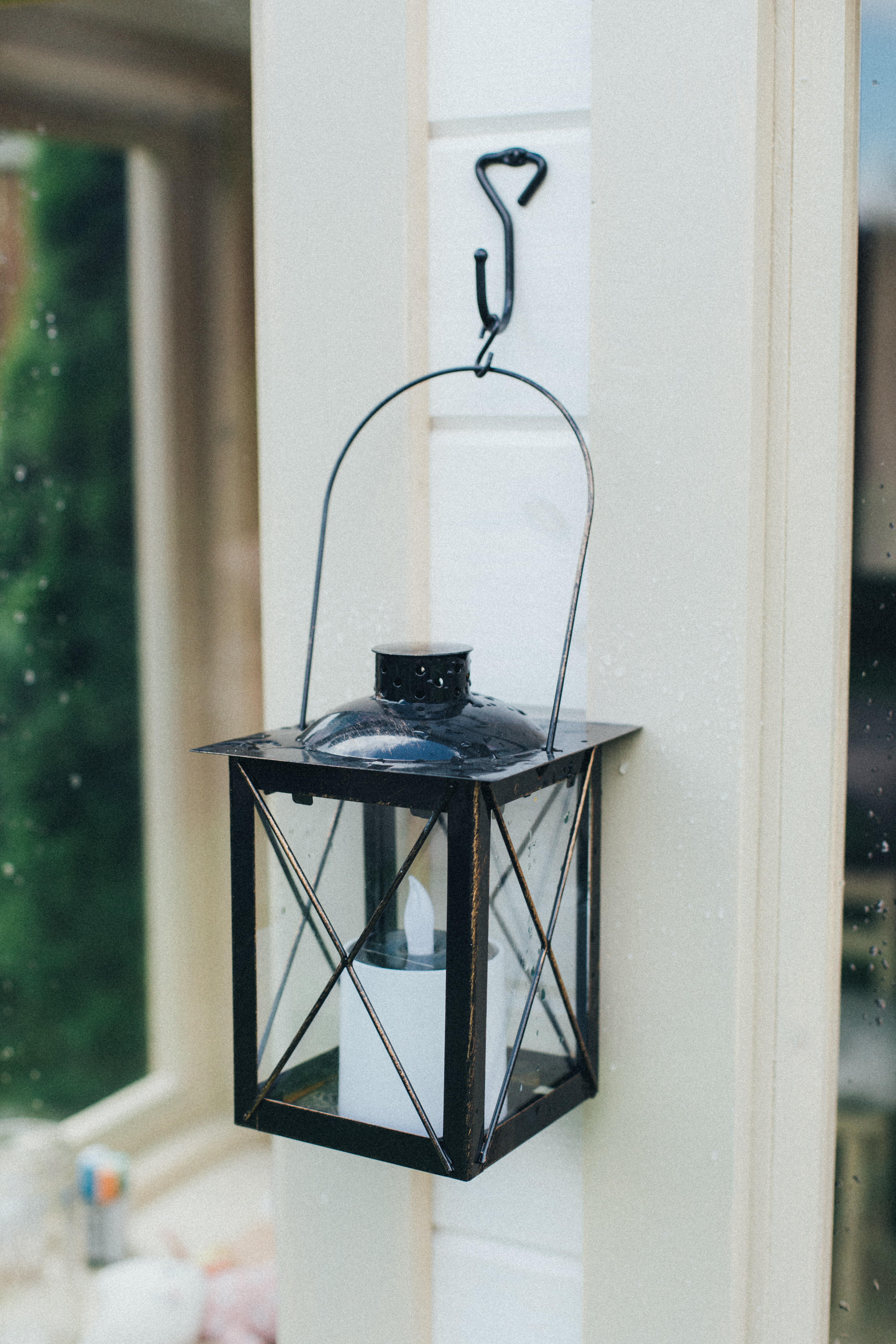 Фото Тополя