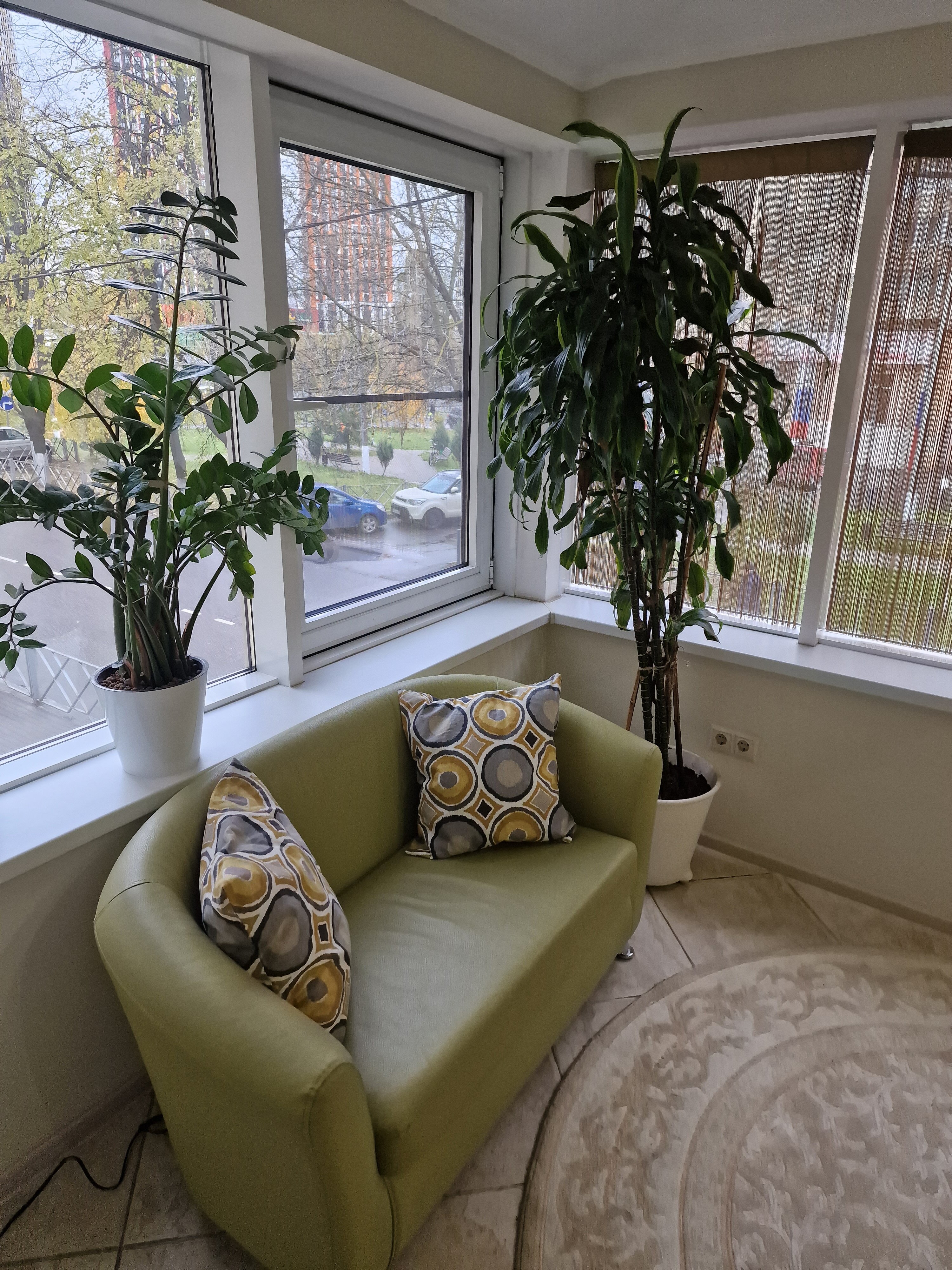 Фото Клевер