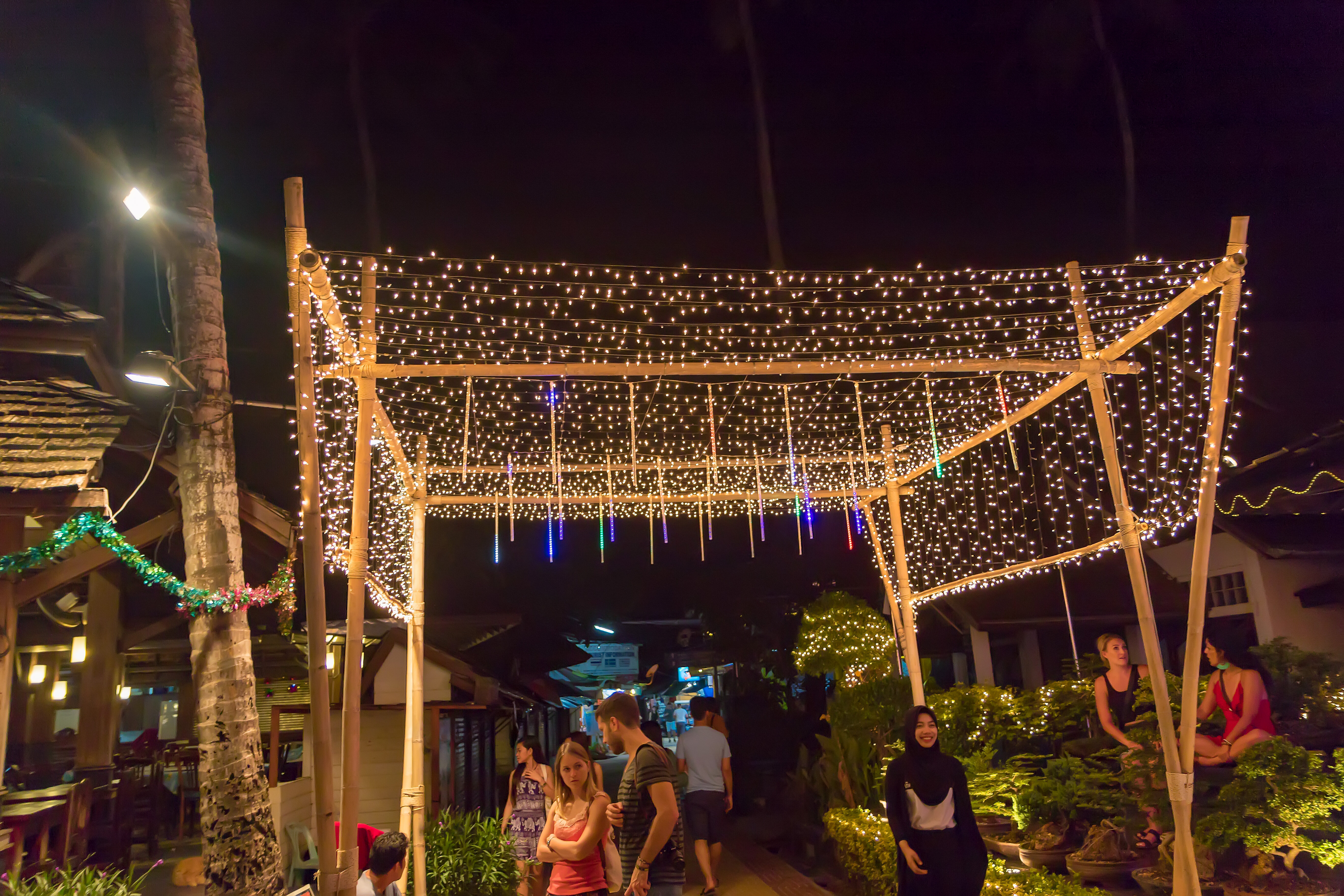 Фото Phi Phi Banyan Villa