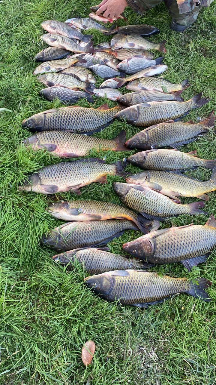 Фото База Каралат