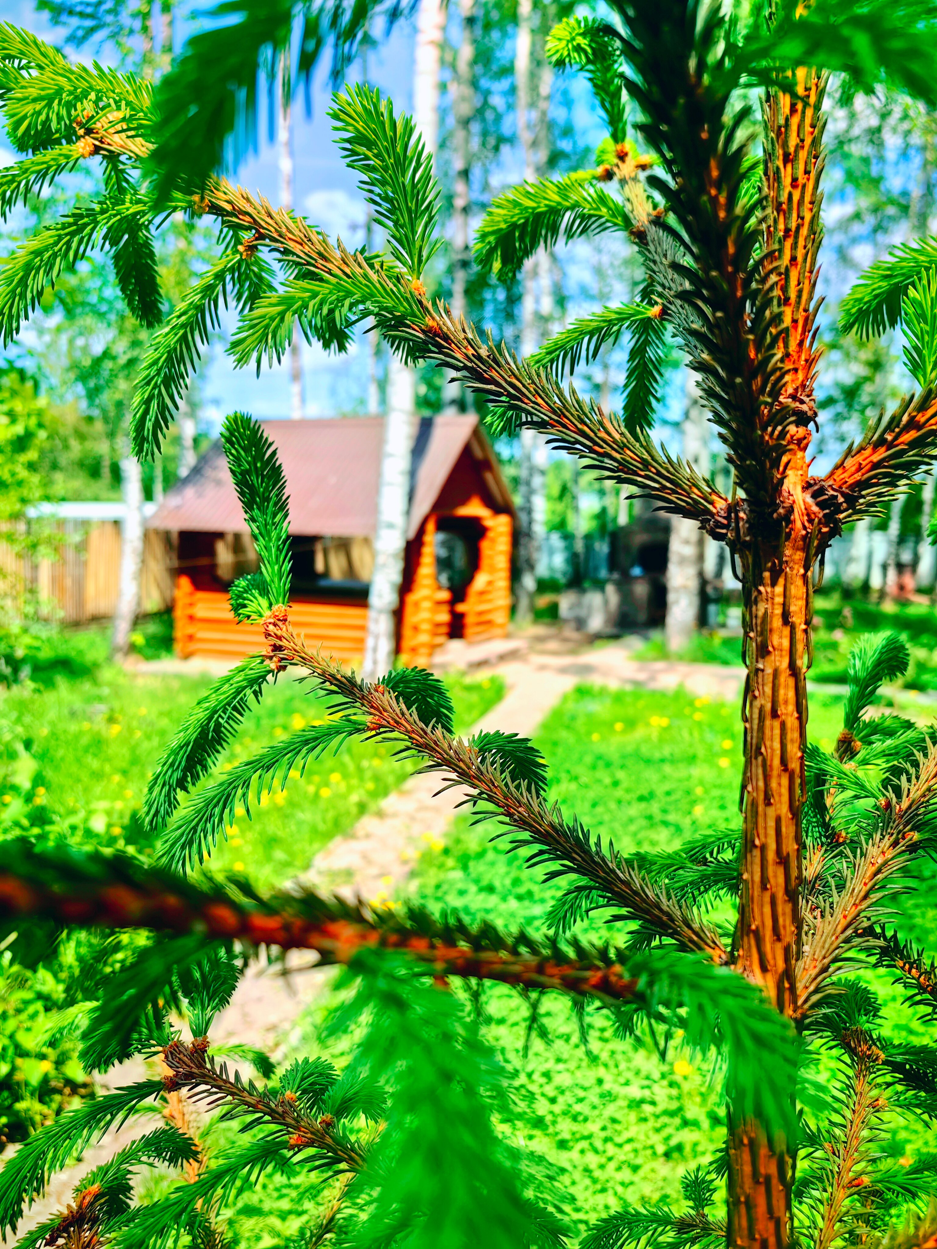 Фото Дом у голубого озера