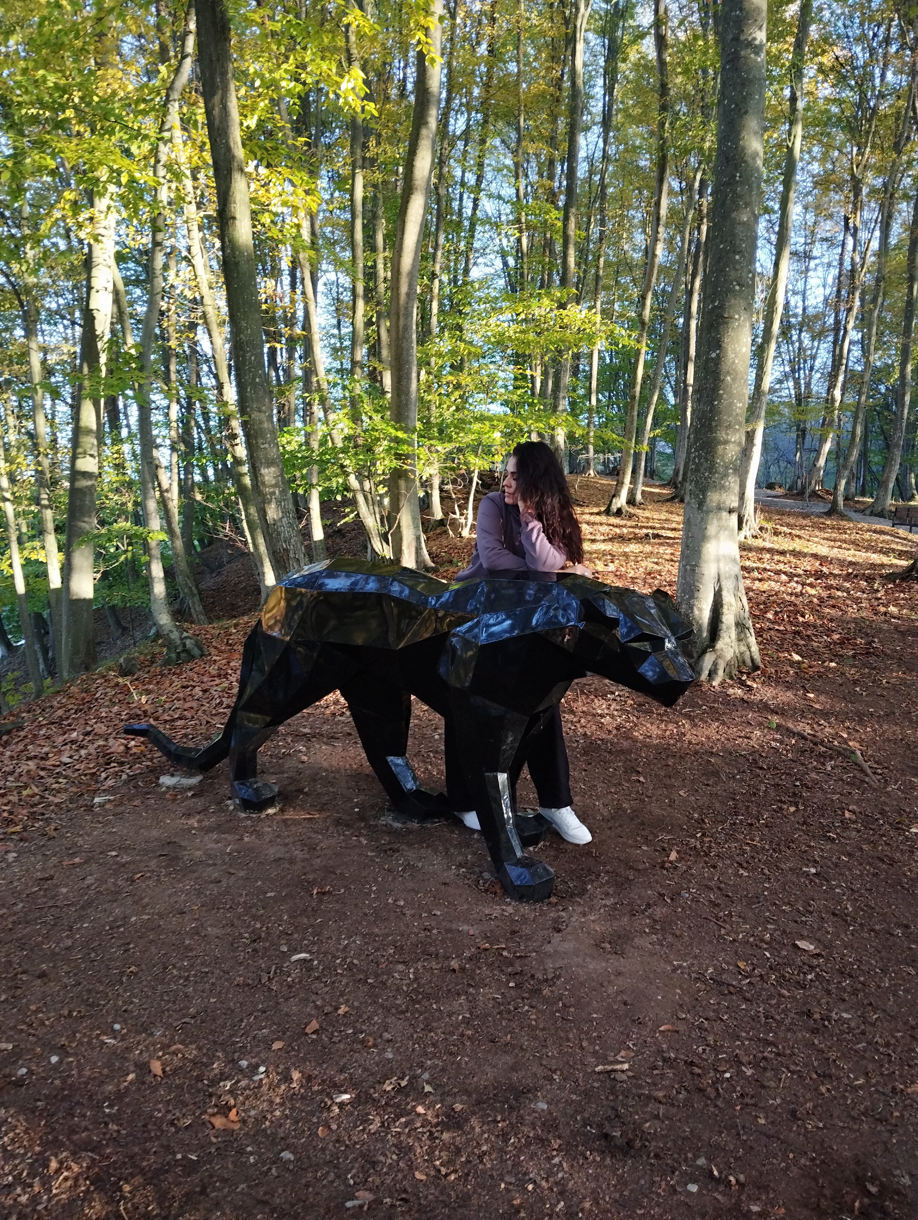 Фото Альпина парк