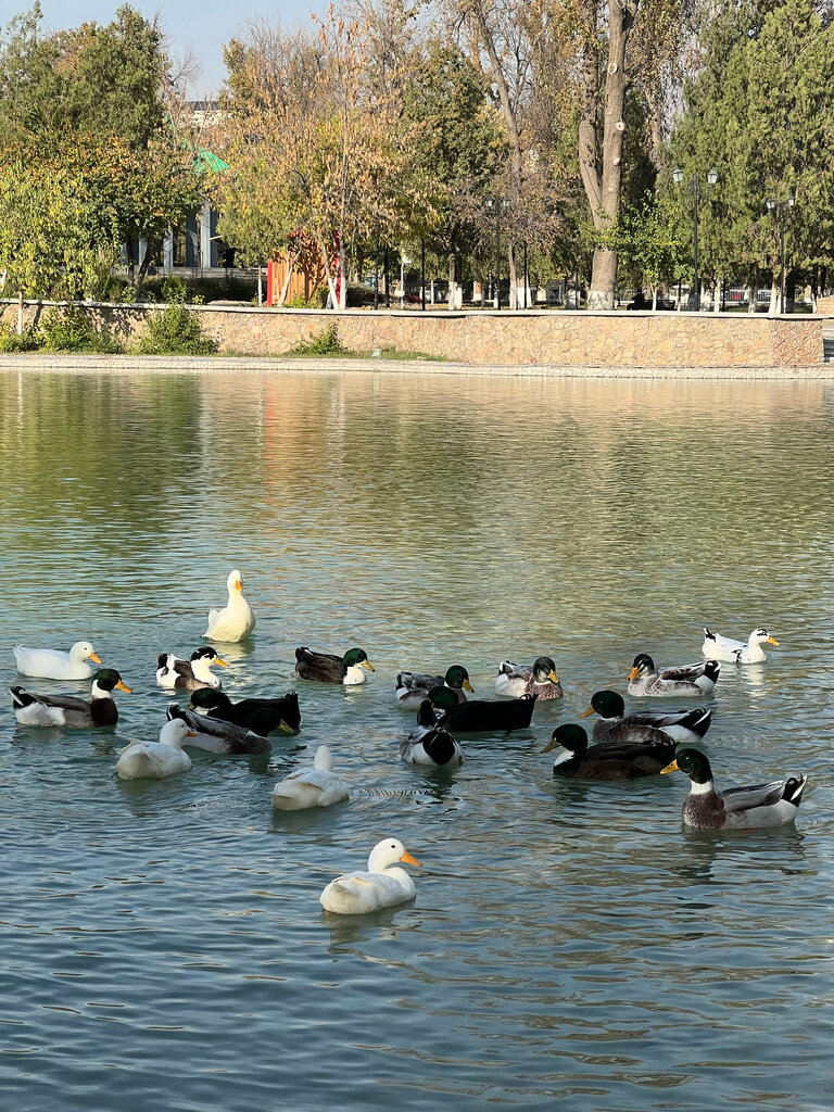 Park Do'stlik Bo'gi, Tashkent, photo