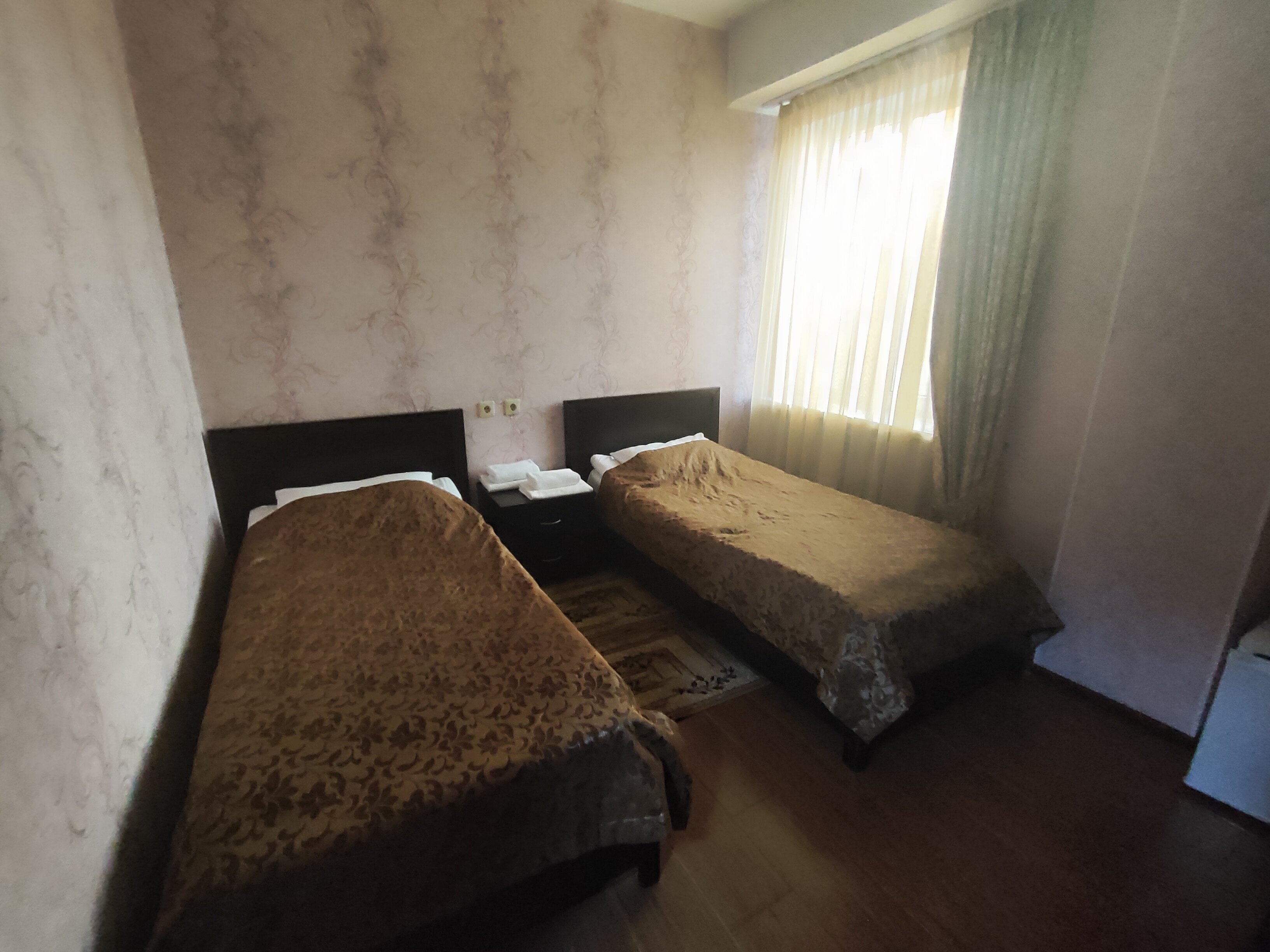 Фото Белые Росы