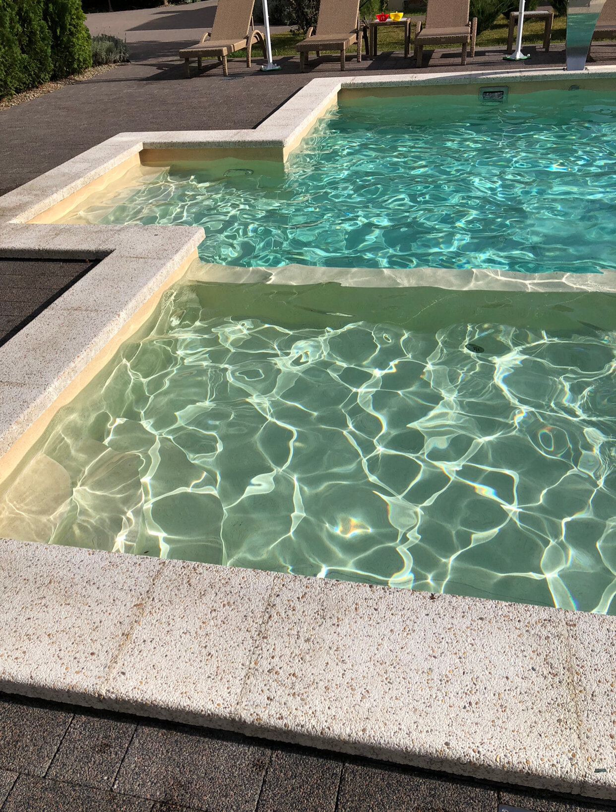 Фото Лаванда