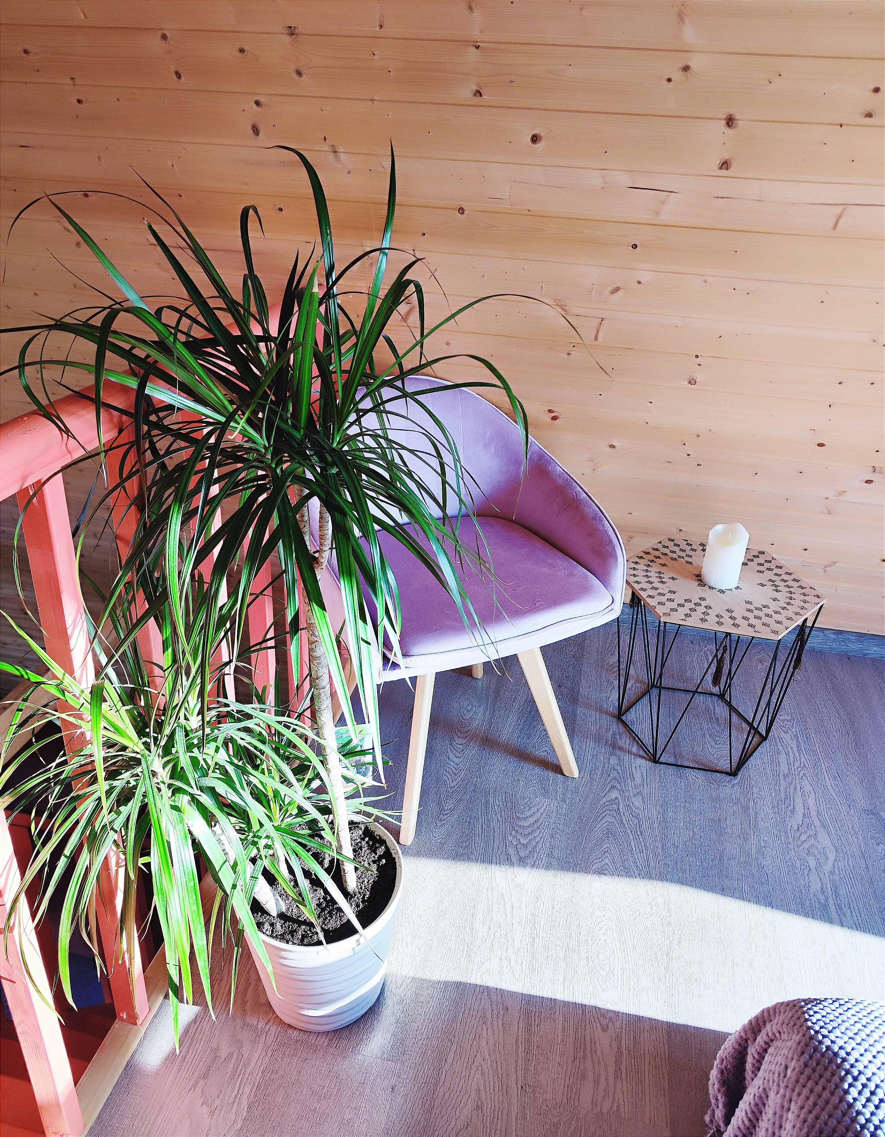 Фото Наш Шалаш