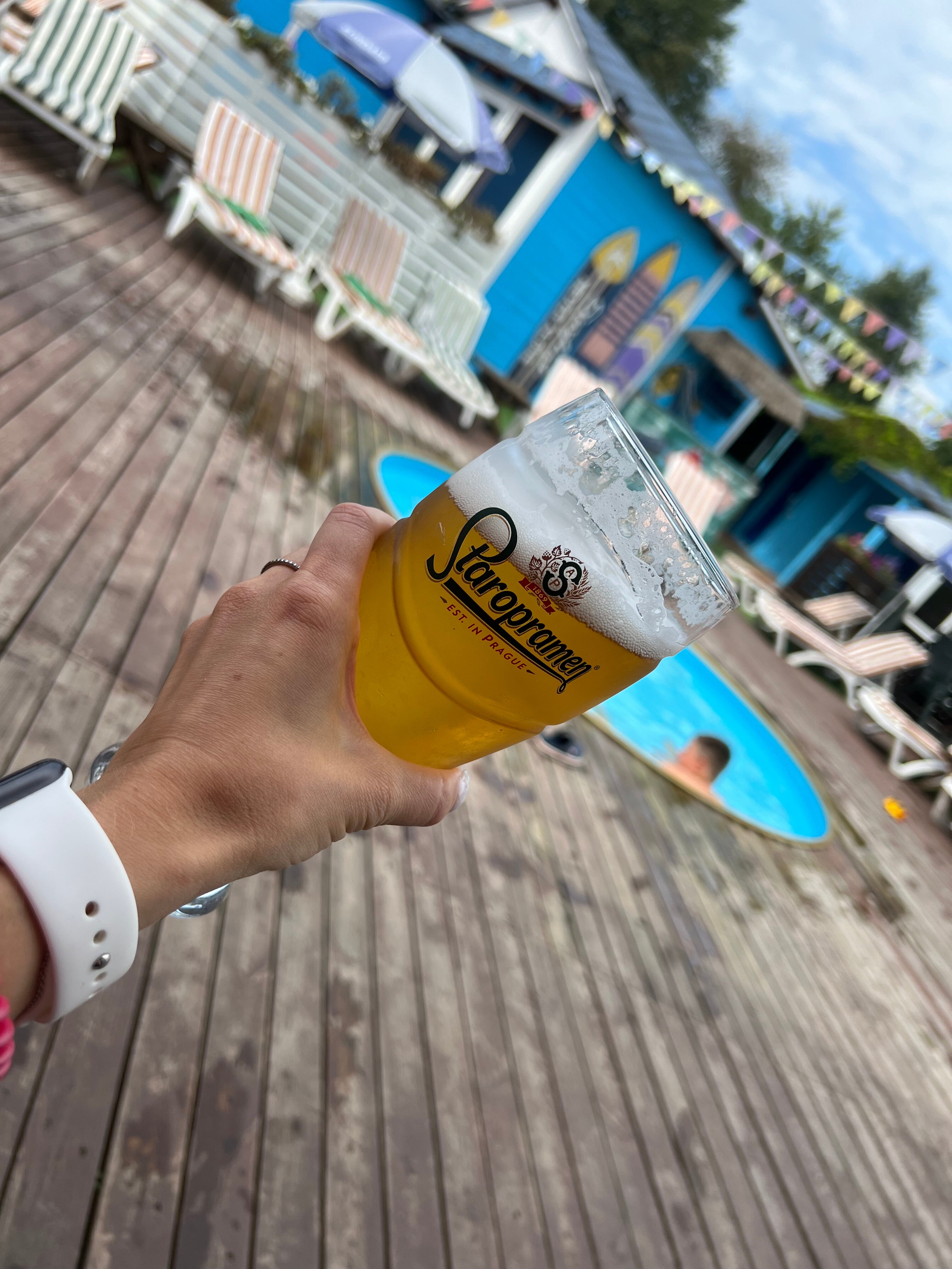 Фото Маёнтак Птичь