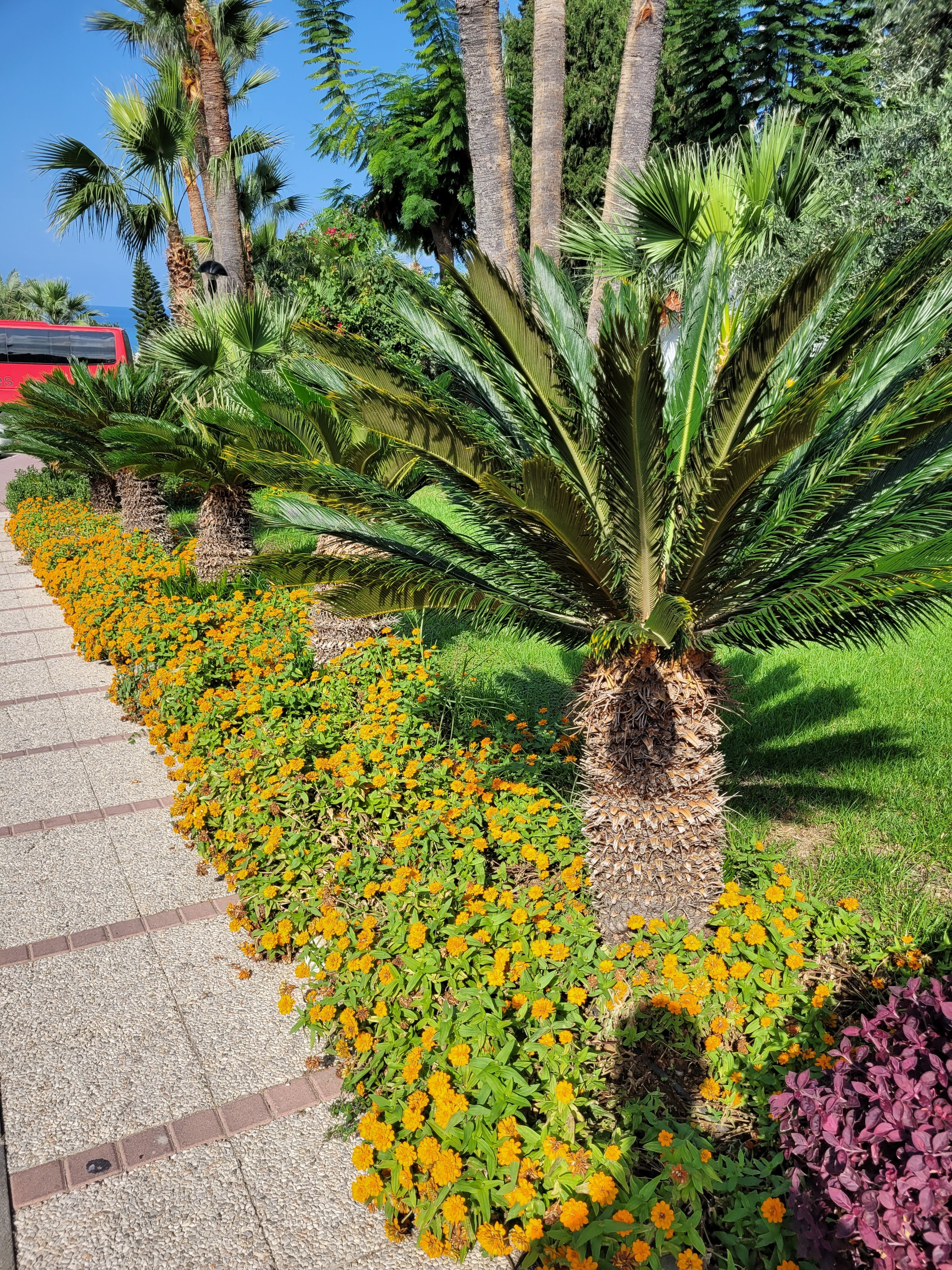 Фото Hotel Acapulco Resort & Convention & SPA