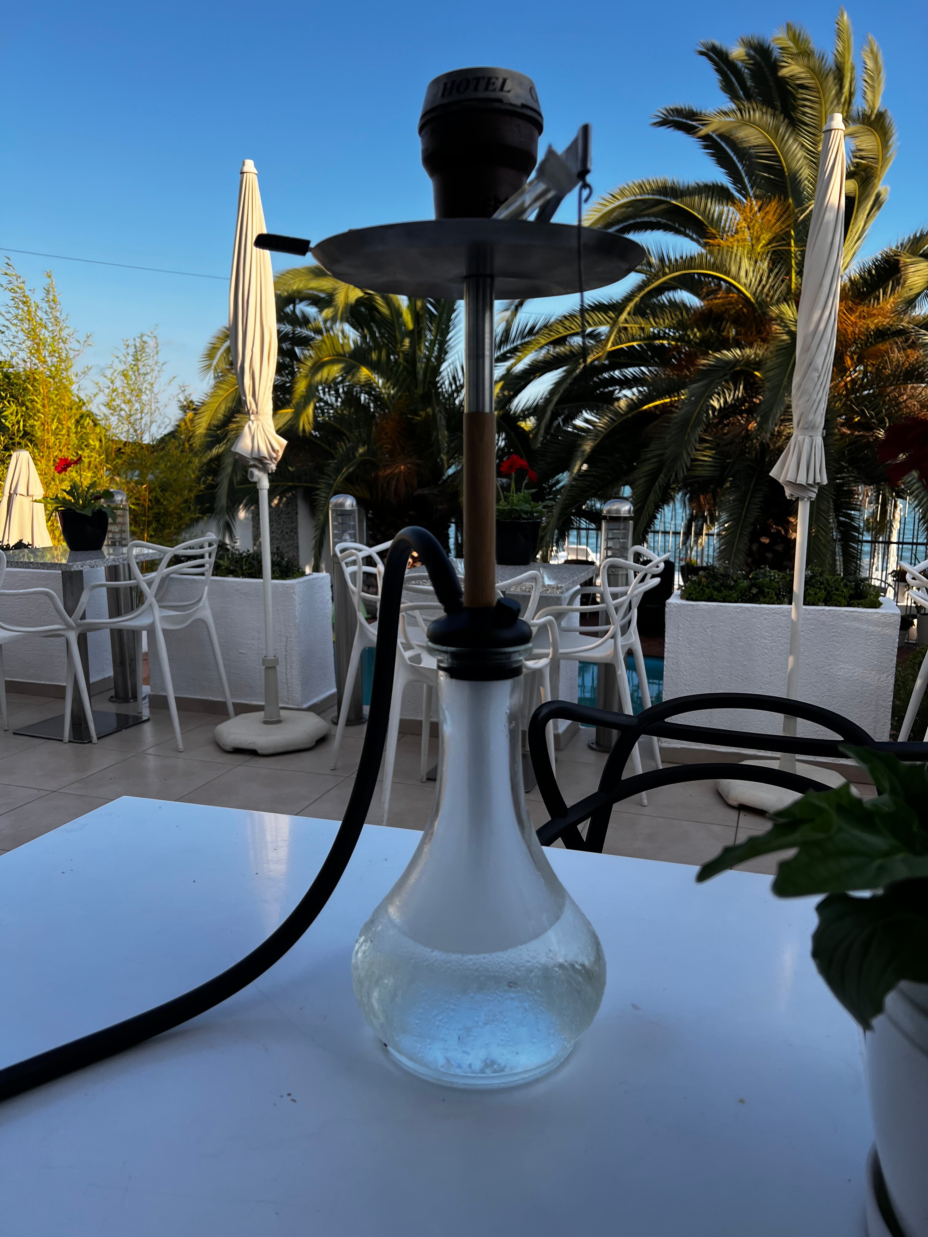 Фото Константа