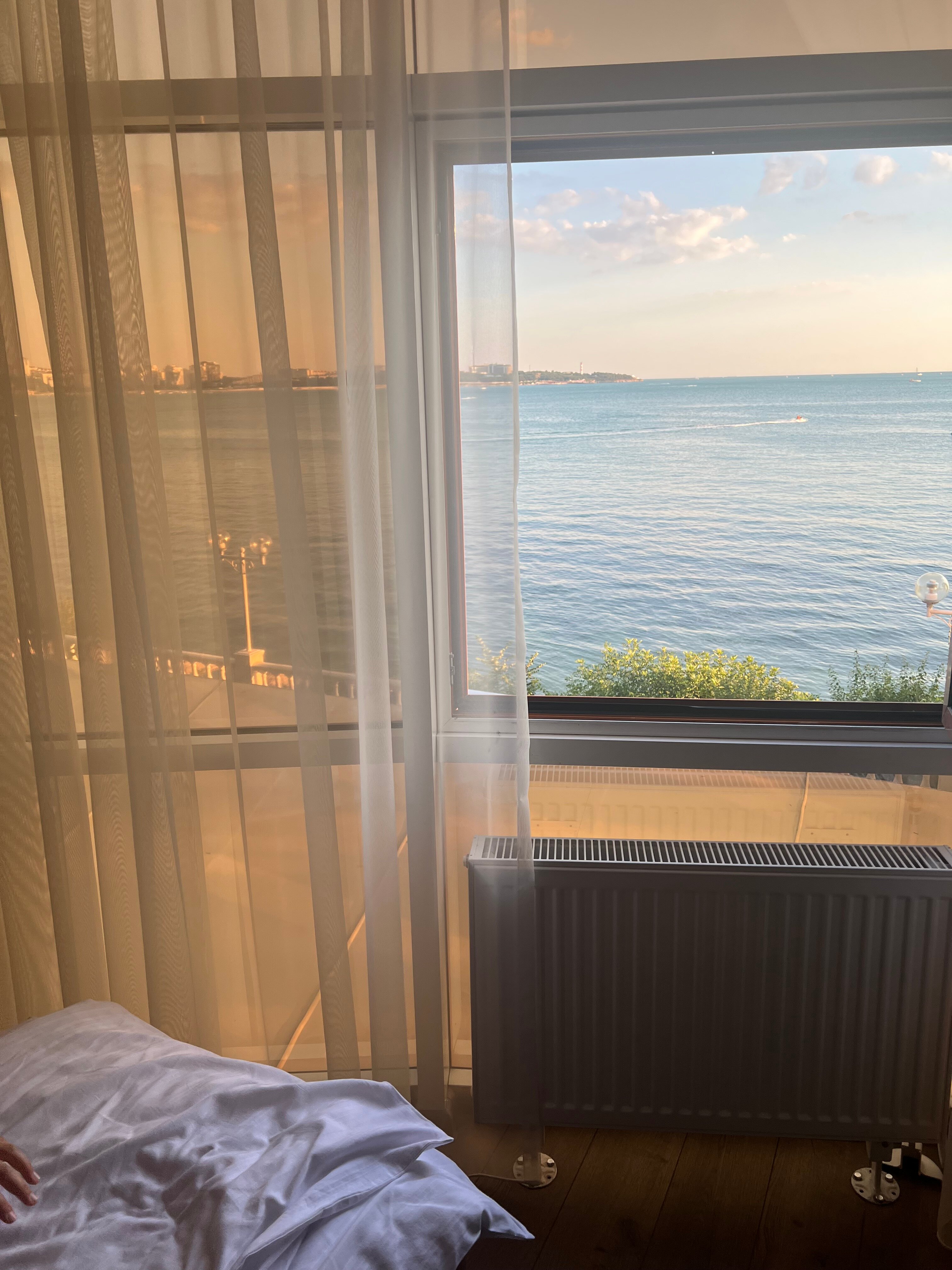 Фото Магнолия