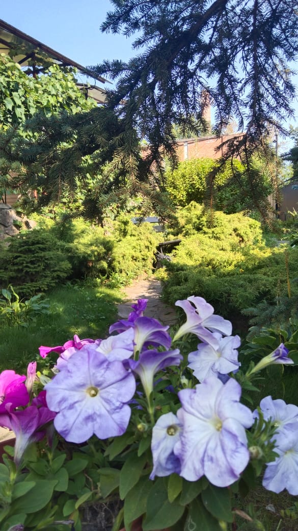 Фото Подворье