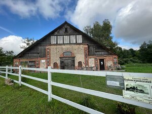 Историческая площадка Турбиностроительный завод братьев Тиме (Pskov Region, Pushkinogorskiy District, Veleyskaya volost, derevnya Zakhino), museum