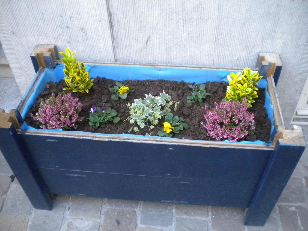 Фото Hotel Queen Mary