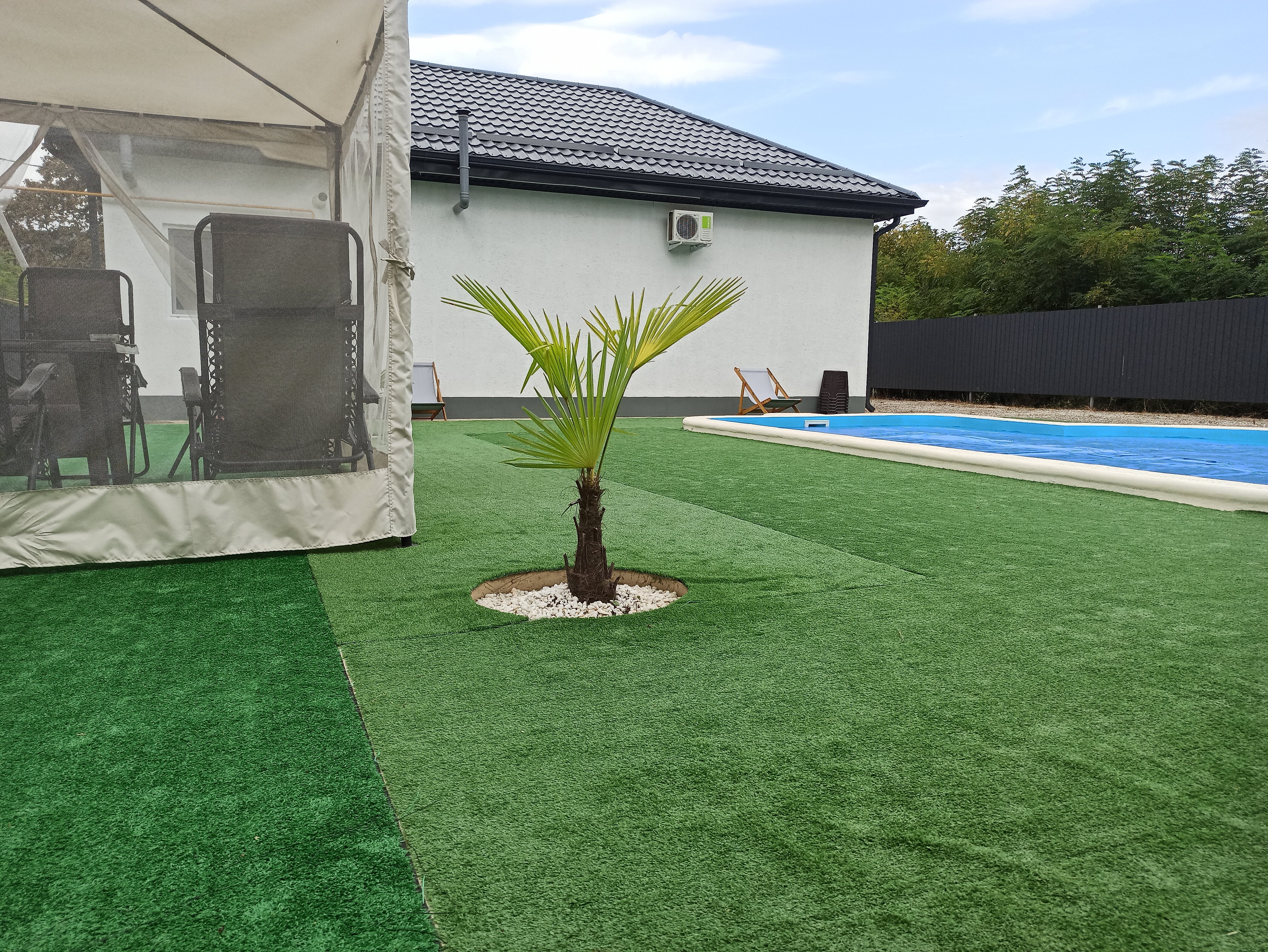 Фото Лесной островок