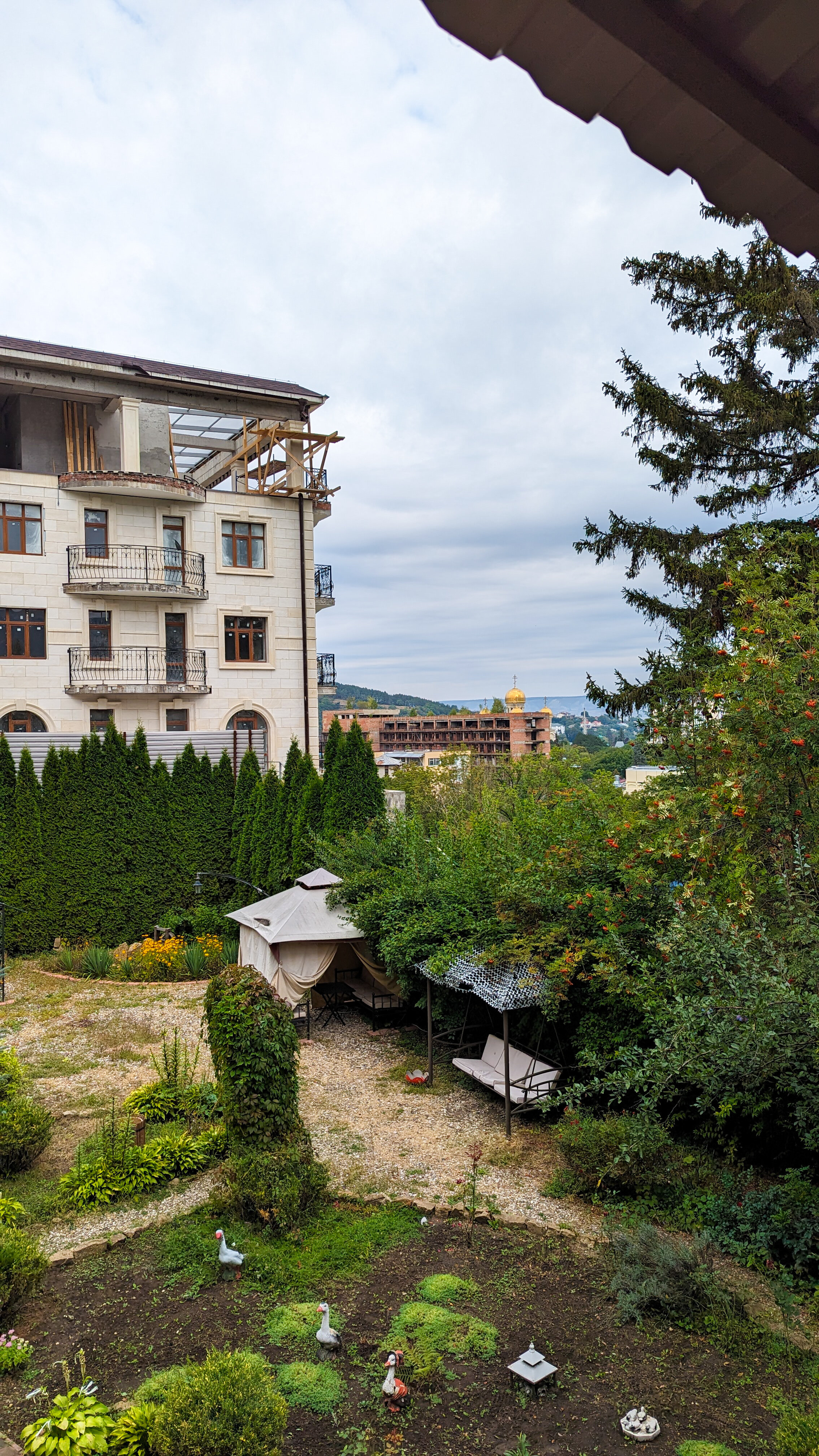 Фото Золотой Гусь