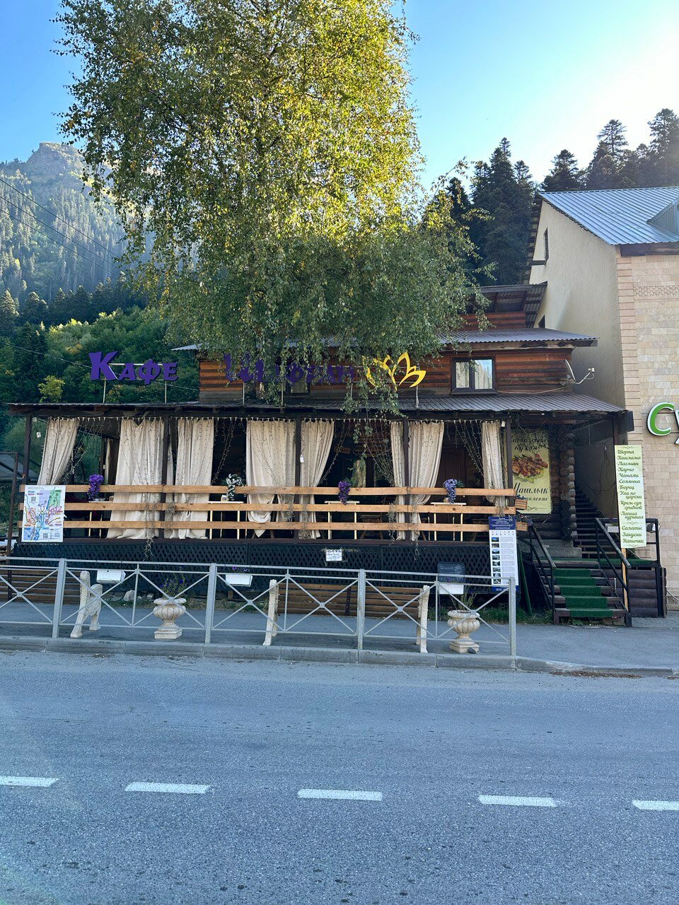 Фото Шафран