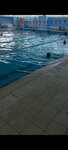 Водноспортивный оздоровительный комплекс Бассейны Дона (Sadovaya ulitsa, 12), sports center