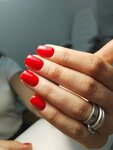 Sharm (Chekhova Avenue, 94), nail salon