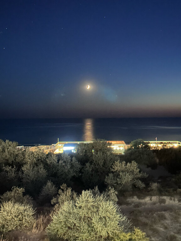 Фото Palma Soneta