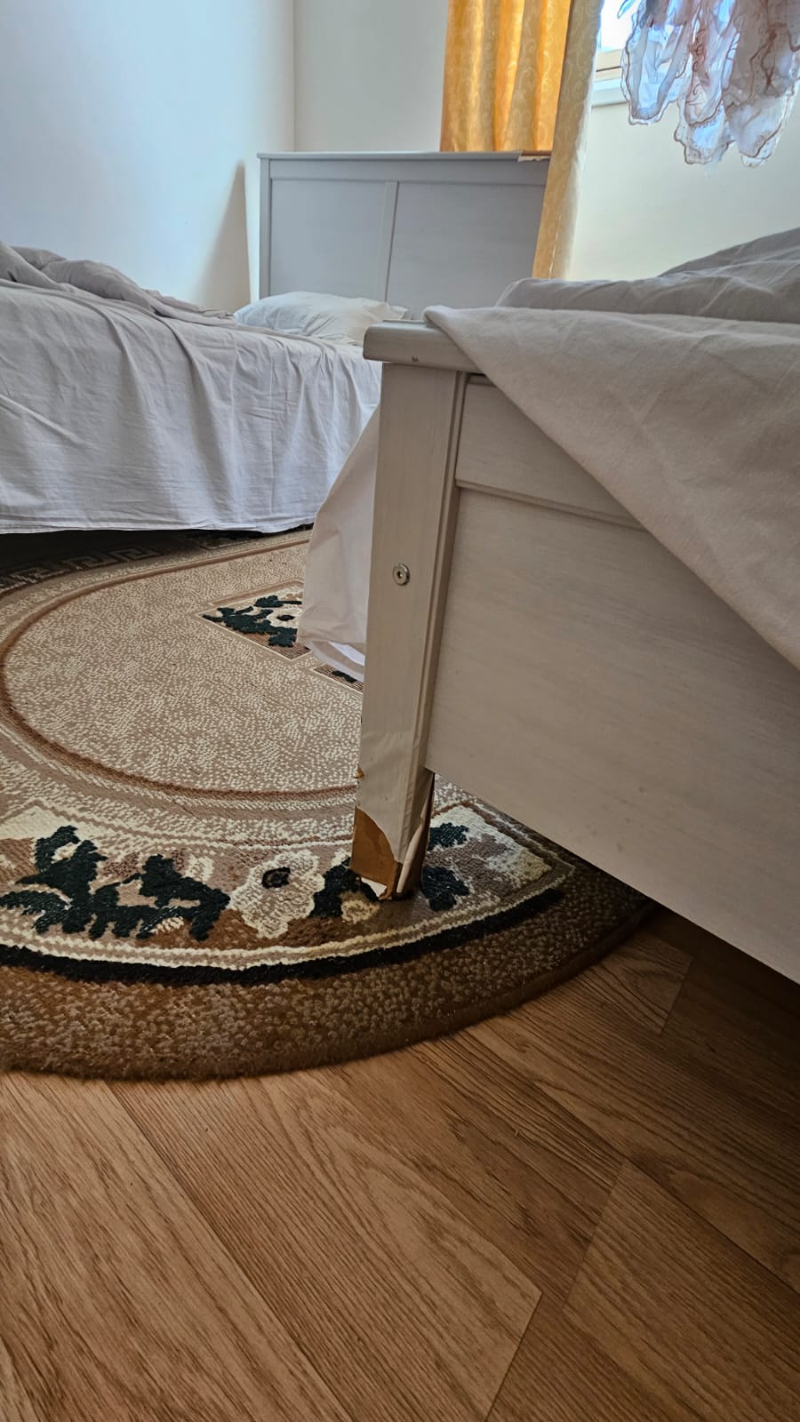 Фото Роза Ветров