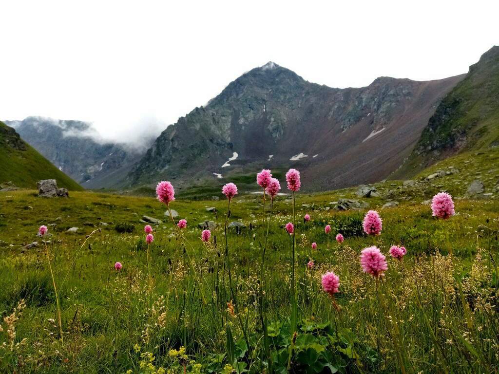 Фото Архыз и точка