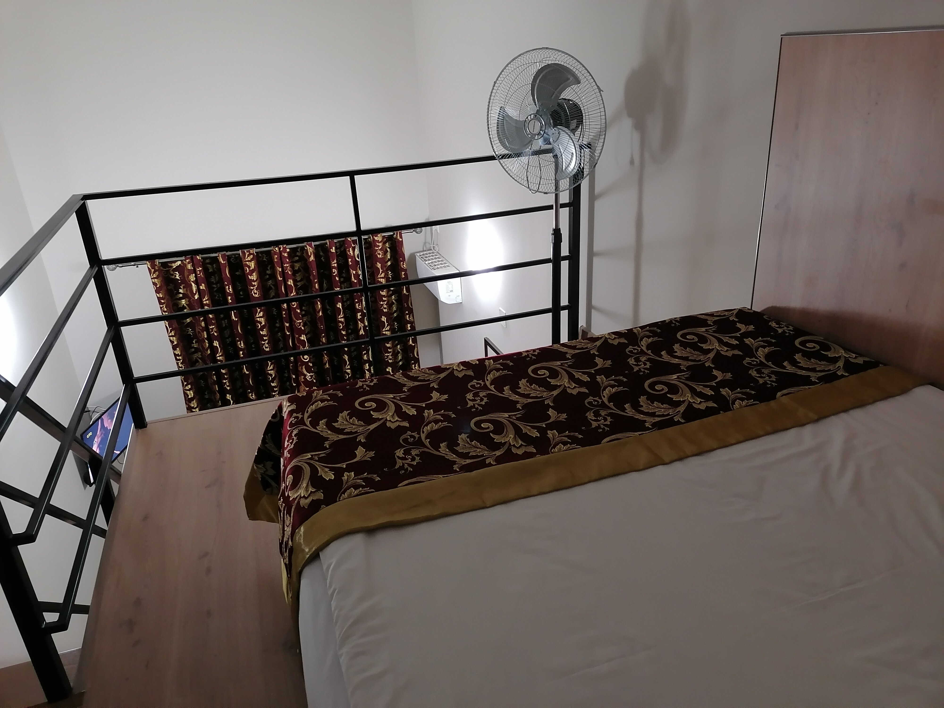 Фото Фламинго