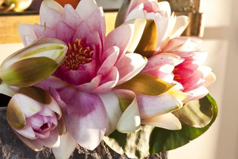 Фото Hotel Mansart