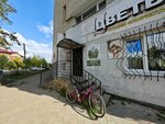 Tsvetochnaya Ulitsa Floristry Studio (Frunze Street, 44) ، محل زهور