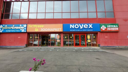 Пензадағы жүкті Еленамен жыныстық қатынас