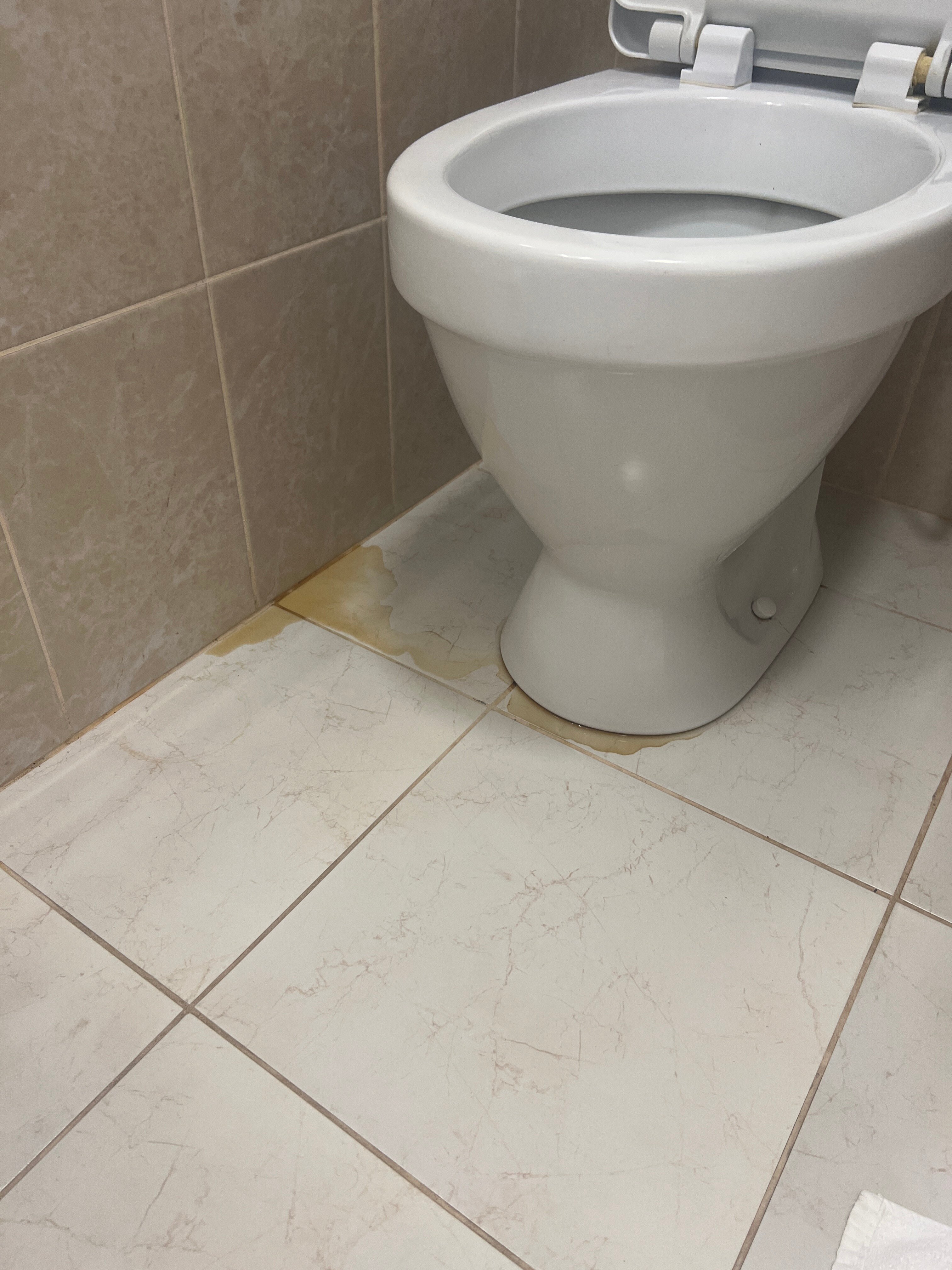 Фото Альфа-guest