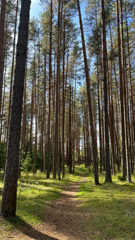 Фото Seliger Soul