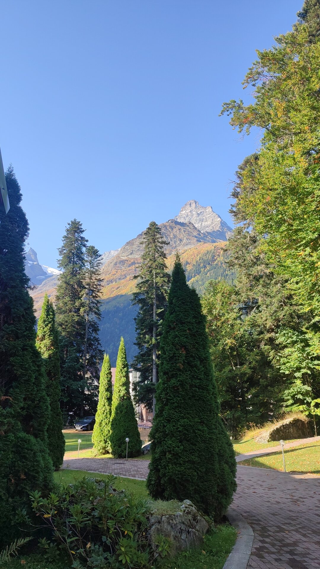 Фото Белалакая