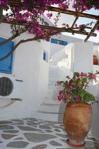 Фото Hotel Madalena