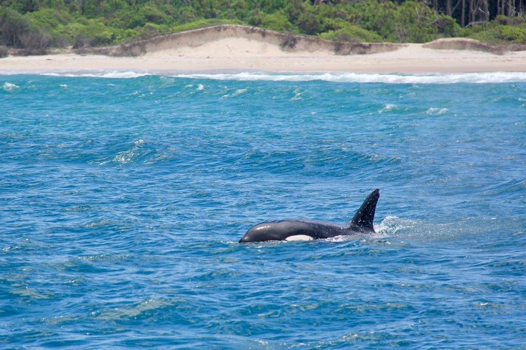 Фото Hotel Palace 1