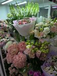 Lord (Veyernaya Street, 30к6), floristeria