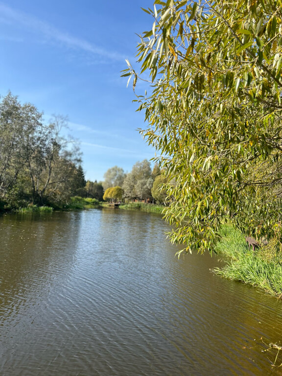 Фото Басовское