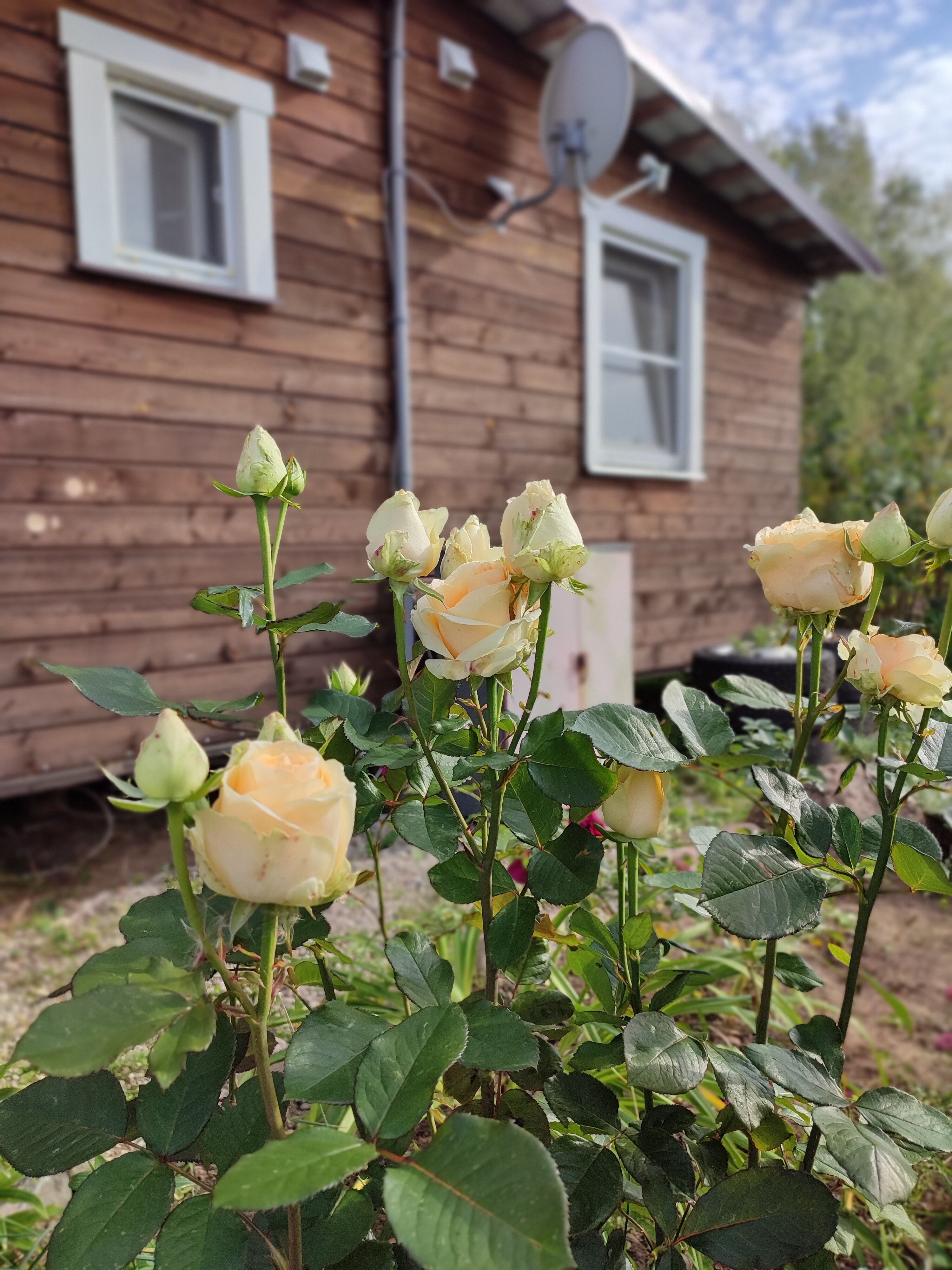 Фото Тихий уголок