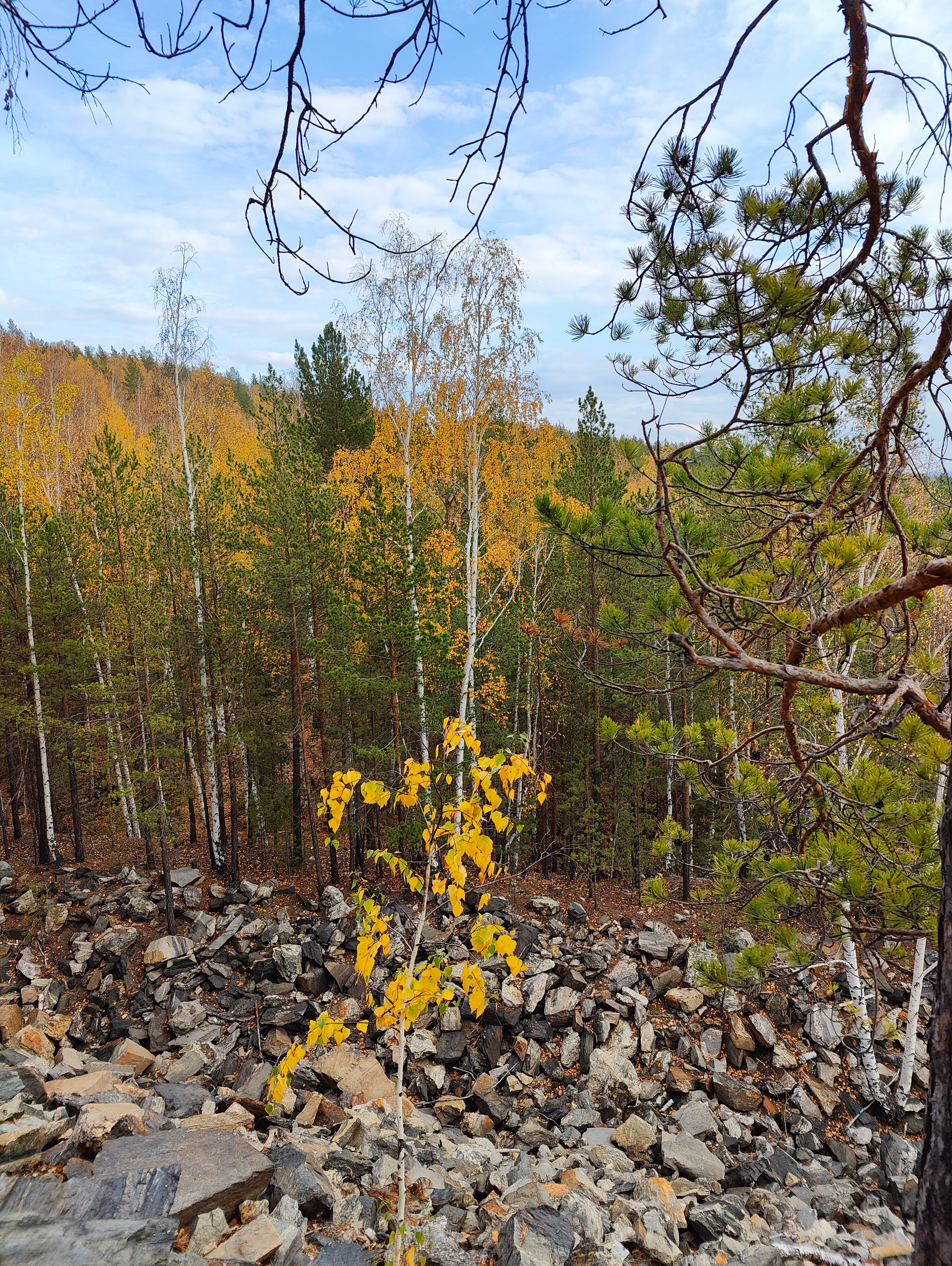 Фото Провинция