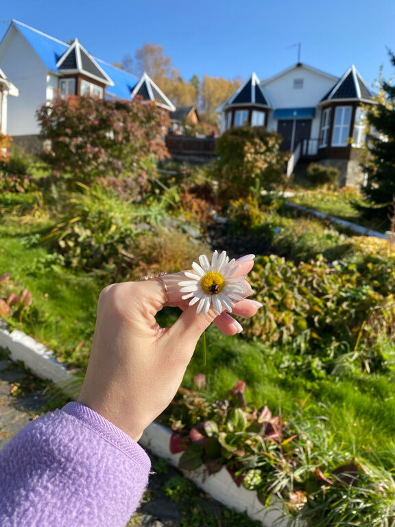 Фото Флагман