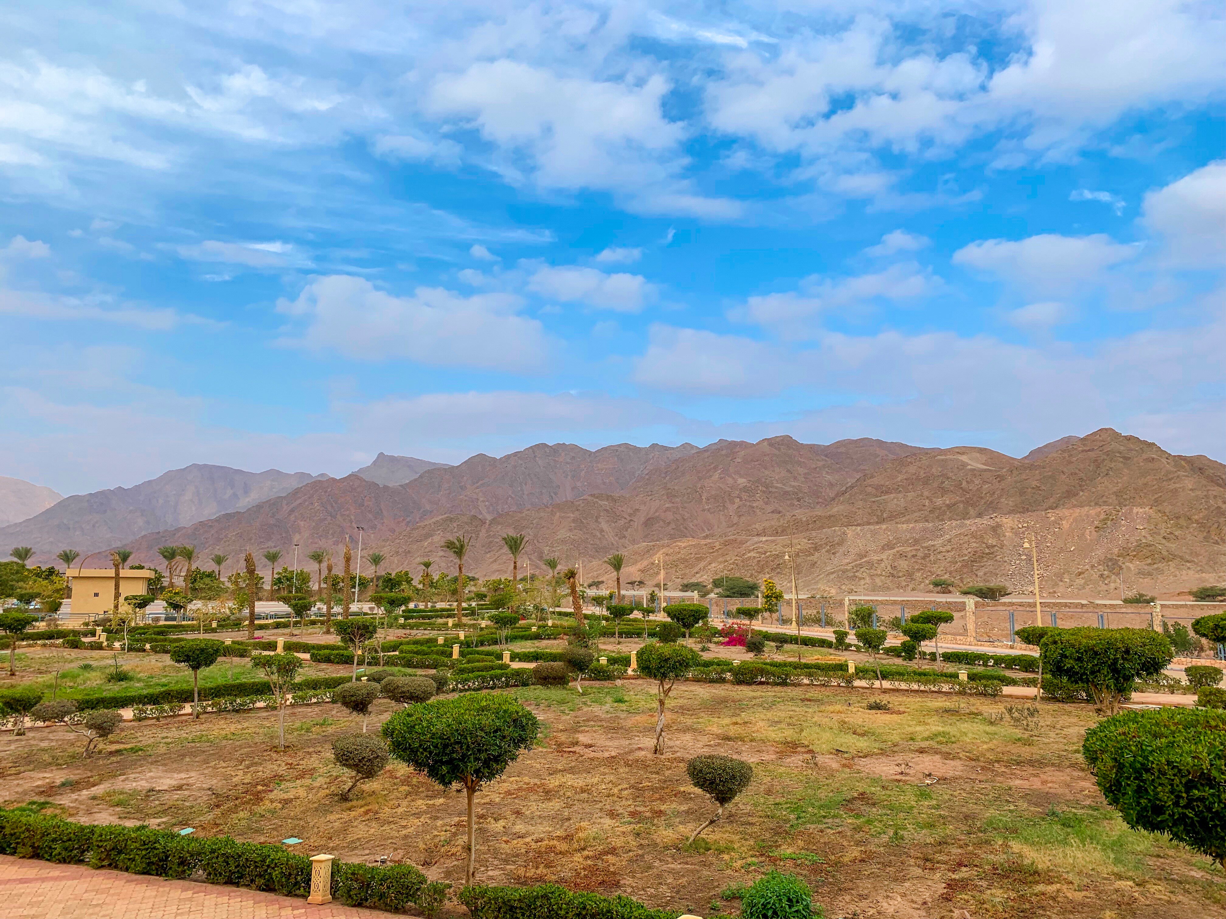 Фото Tolip Taba Resort & SPA