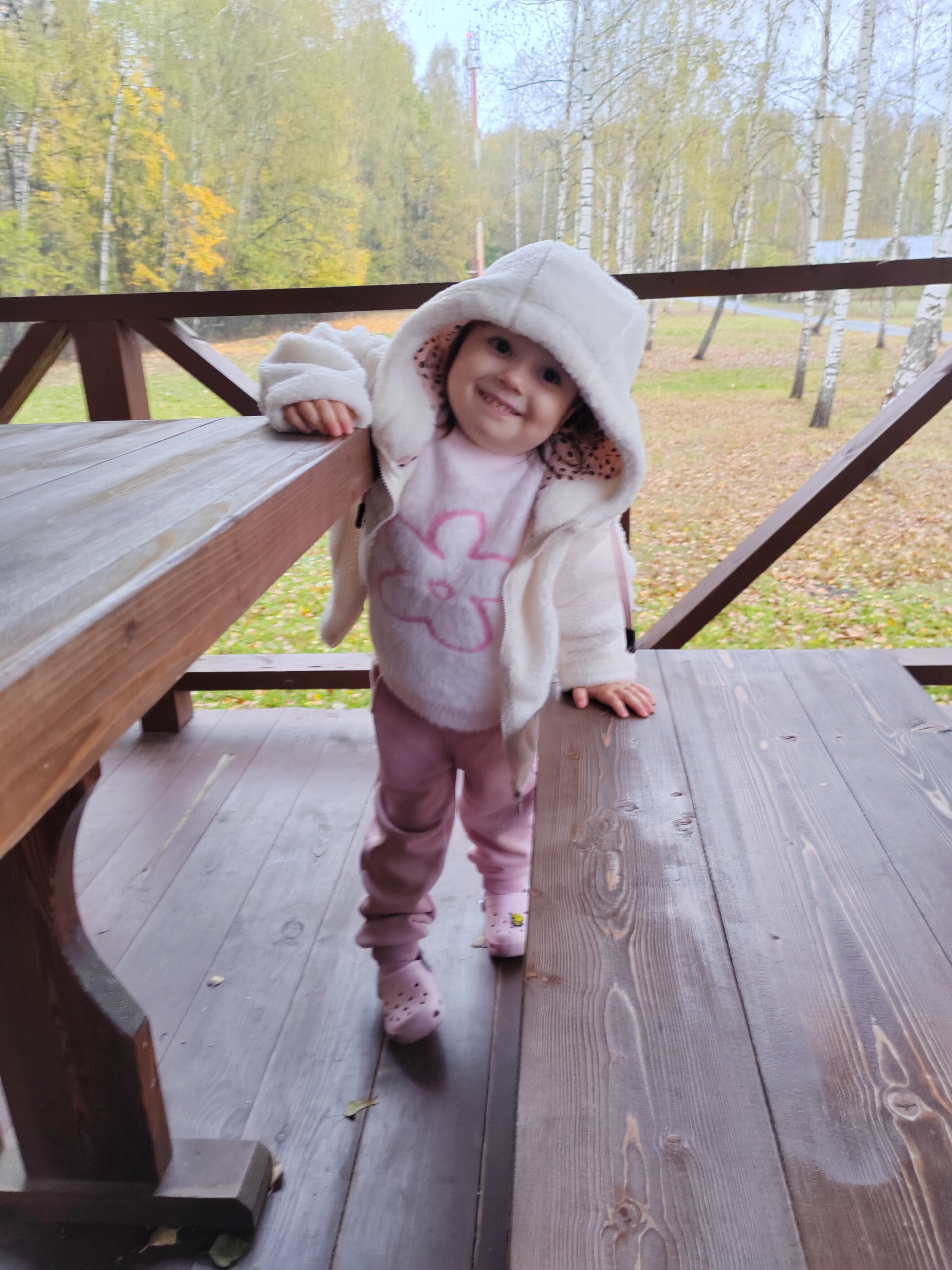 Фото Дом на Лесной Опушке