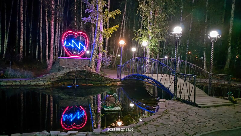 Берёзовая роща — фото 18
