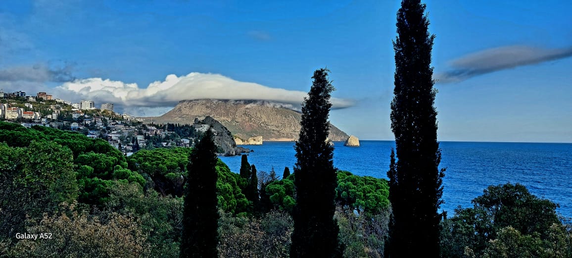 Фото Весёлый Хотэй