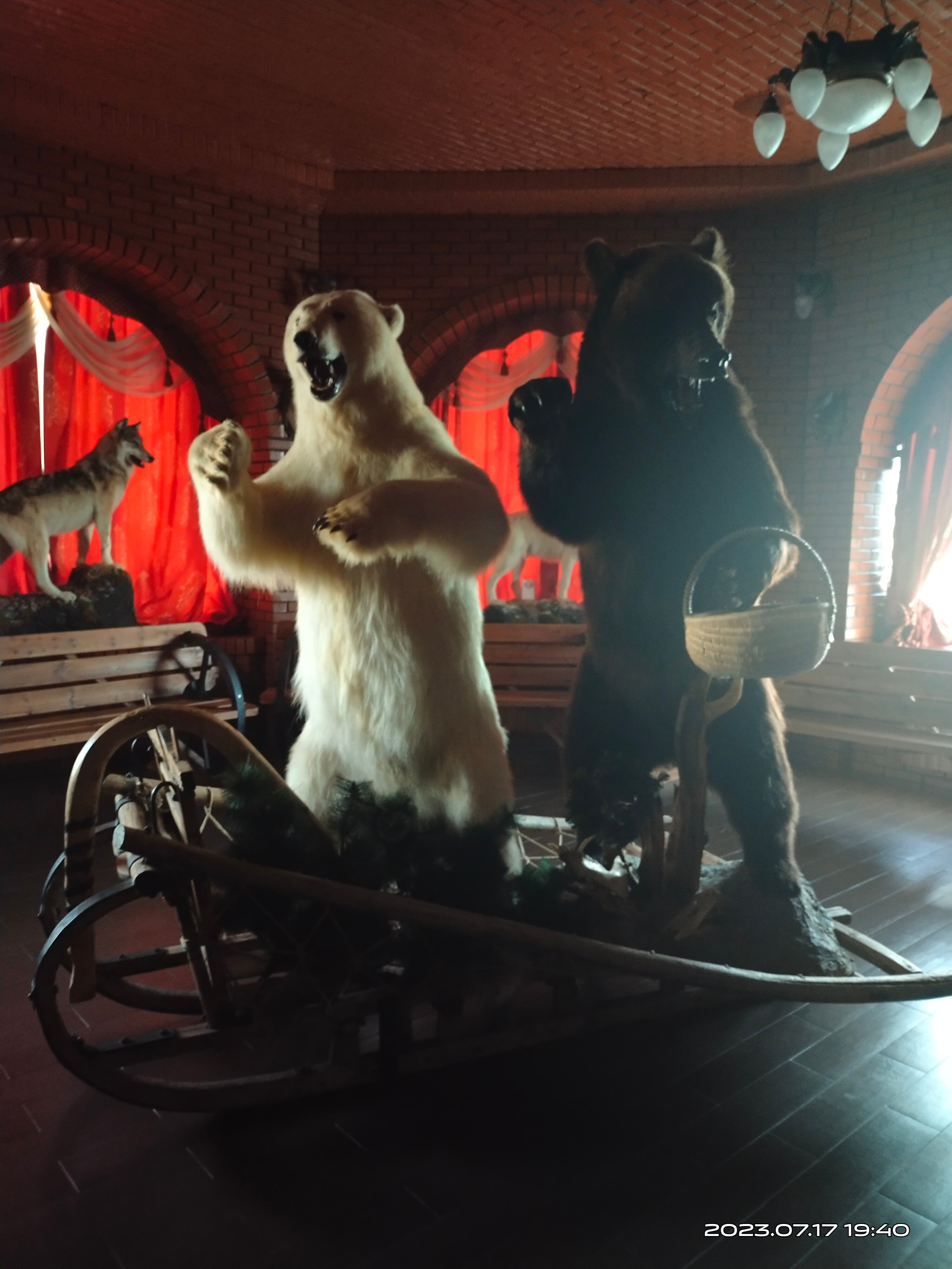 Фото Гнездо Беркута