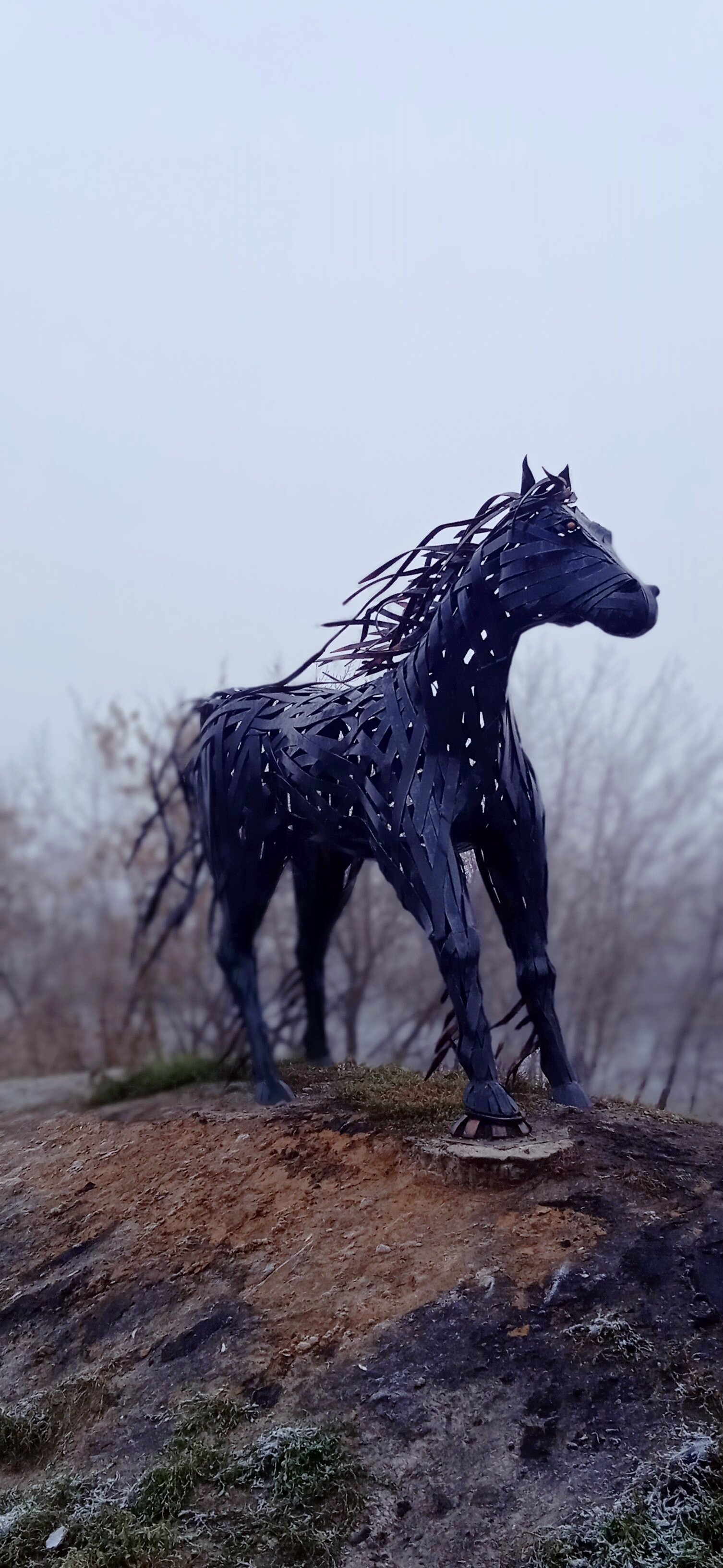 Фото Централь Отель