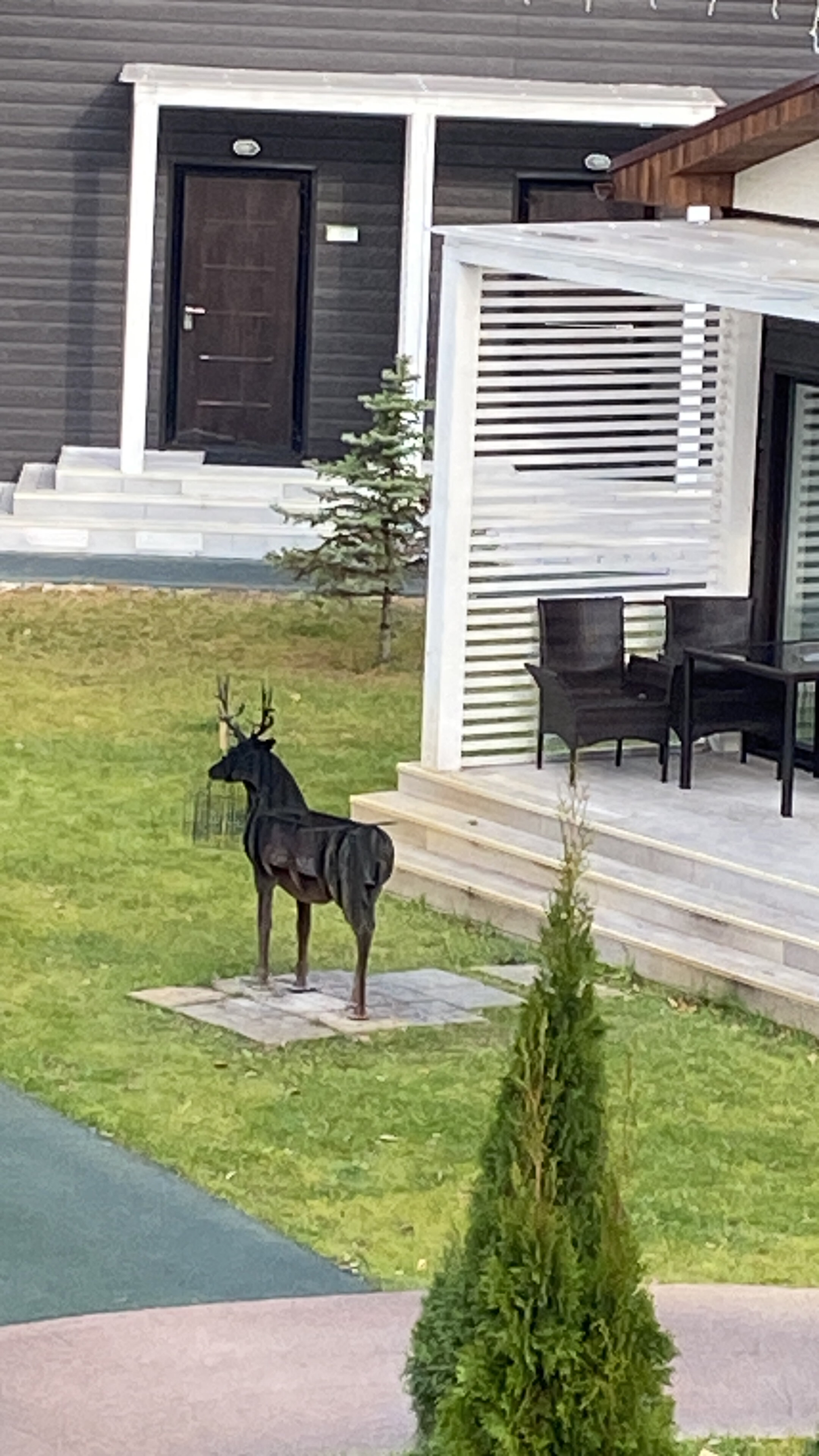 Фото Sosnovoe family club