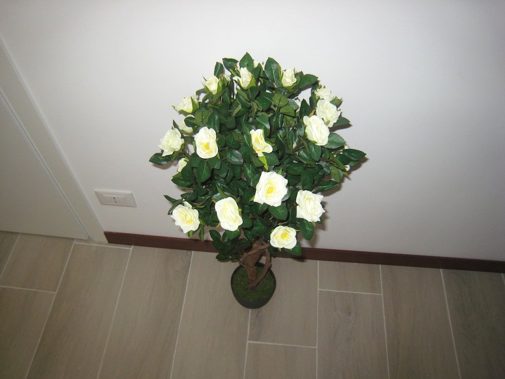 Фото Le Maschere