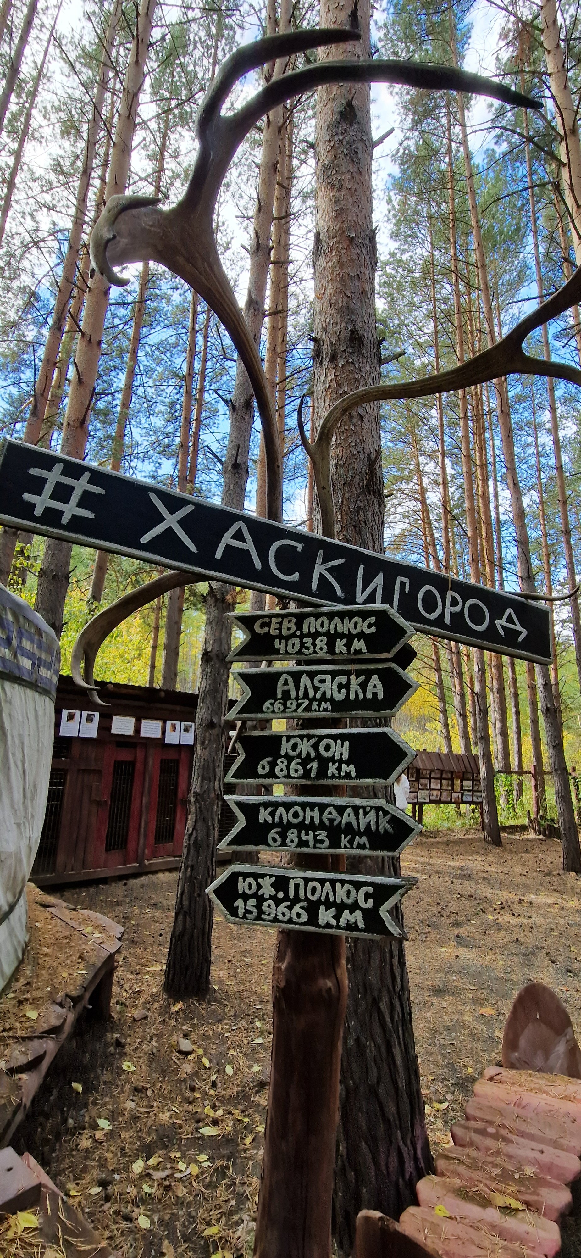 Фото Кизиловая