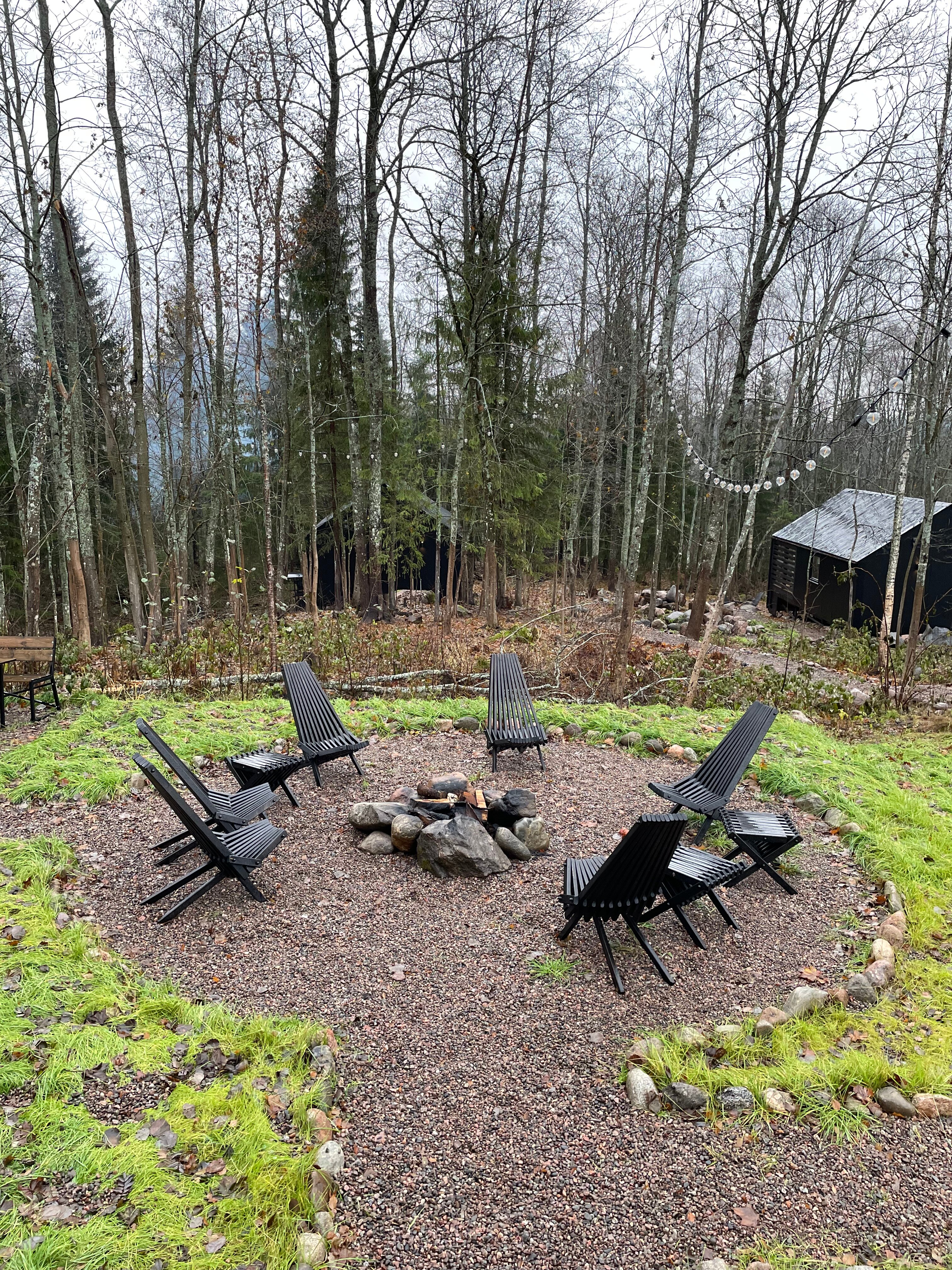 Фото Лес и Гора